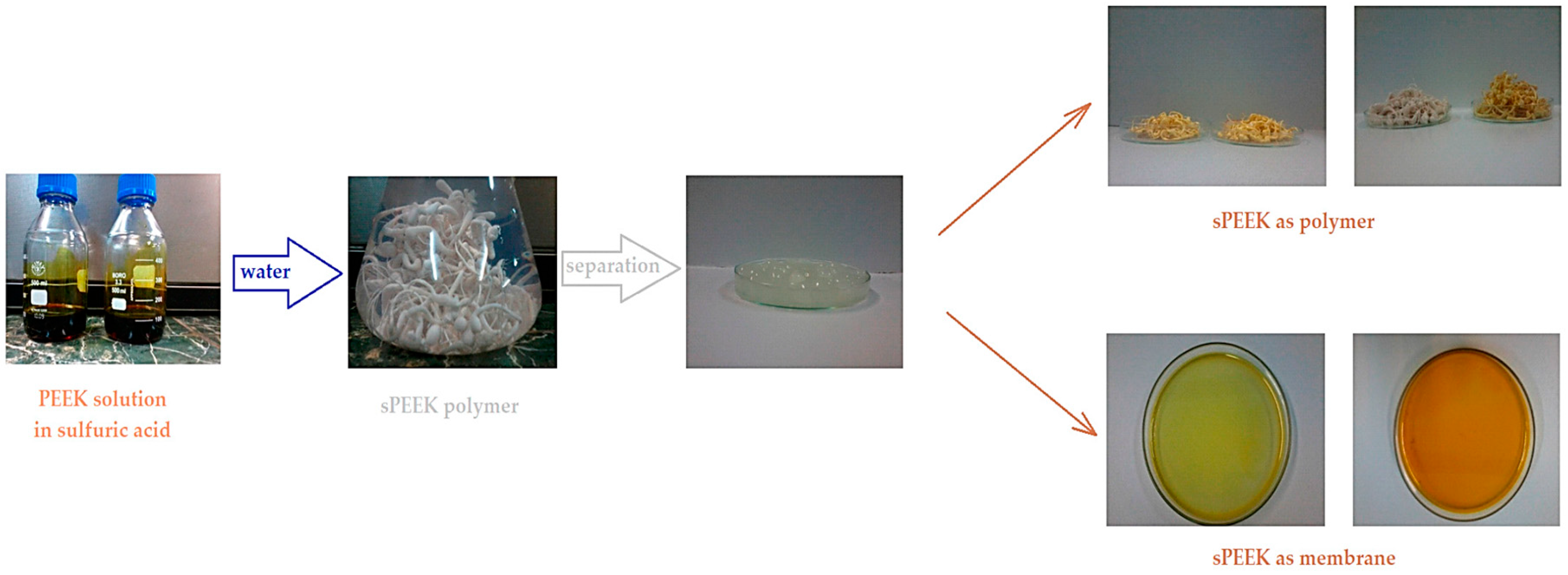 Applsci 14 09937 g001