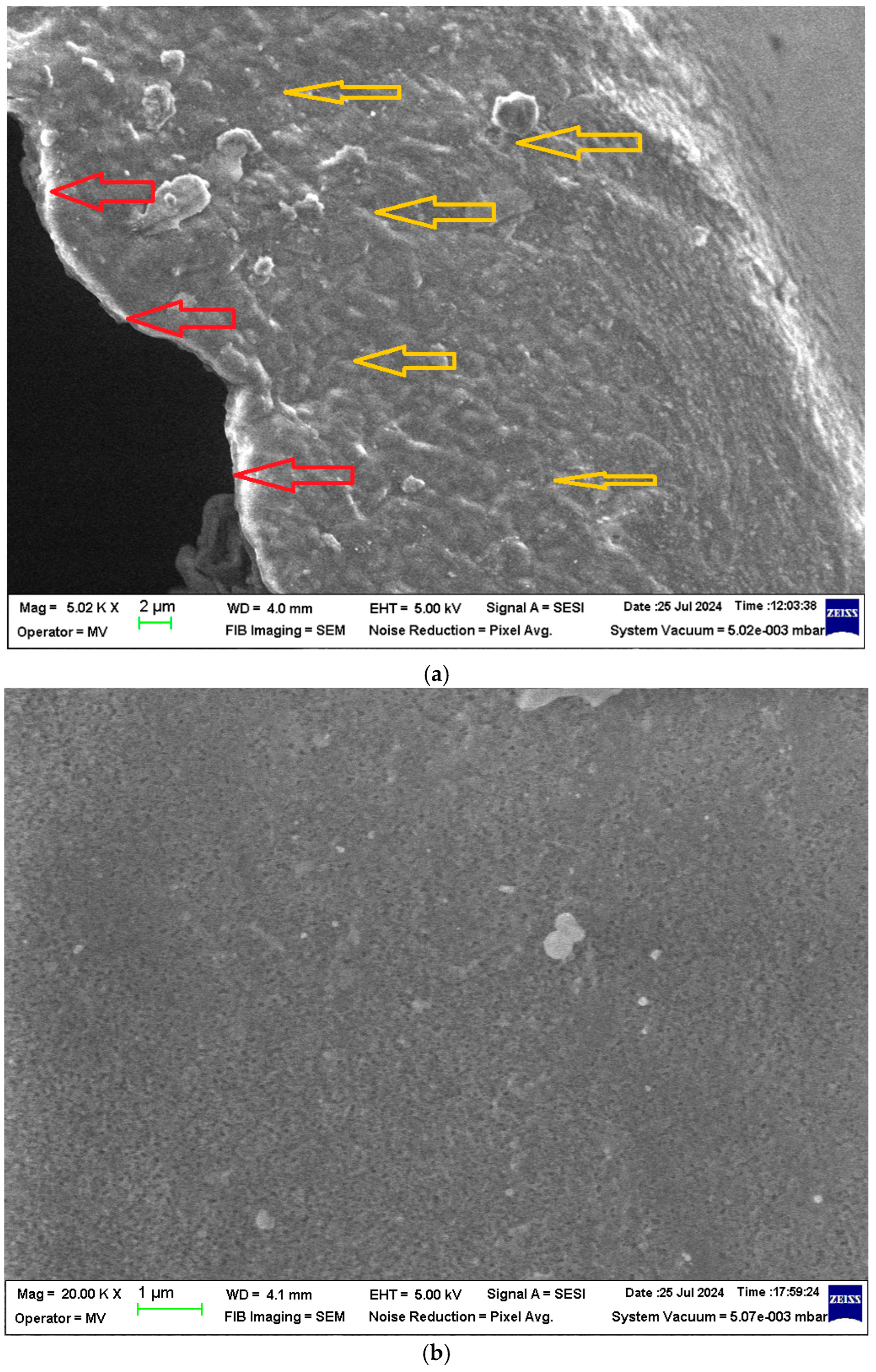 Applsci 14 09937 g003a