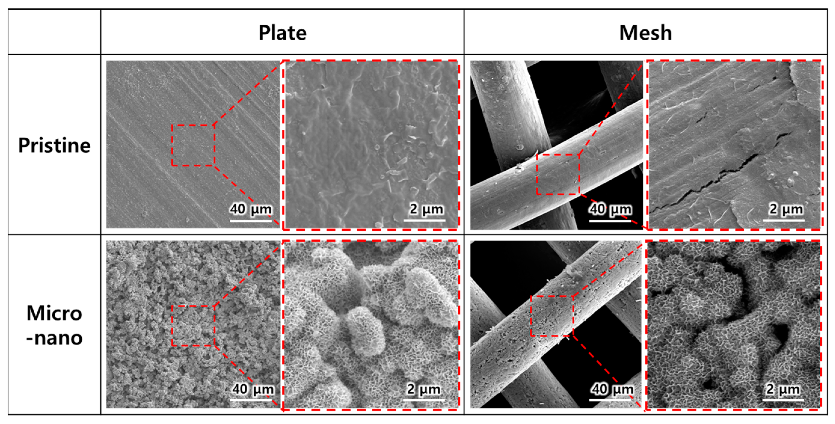 Applsci 14 09952 g005