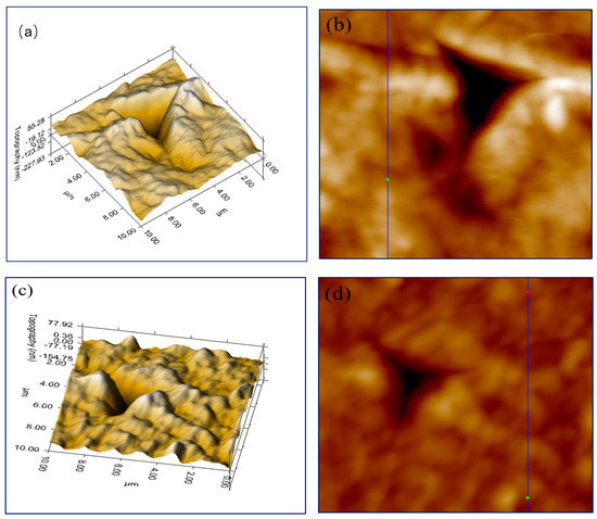 Applsci 14 09961 g003