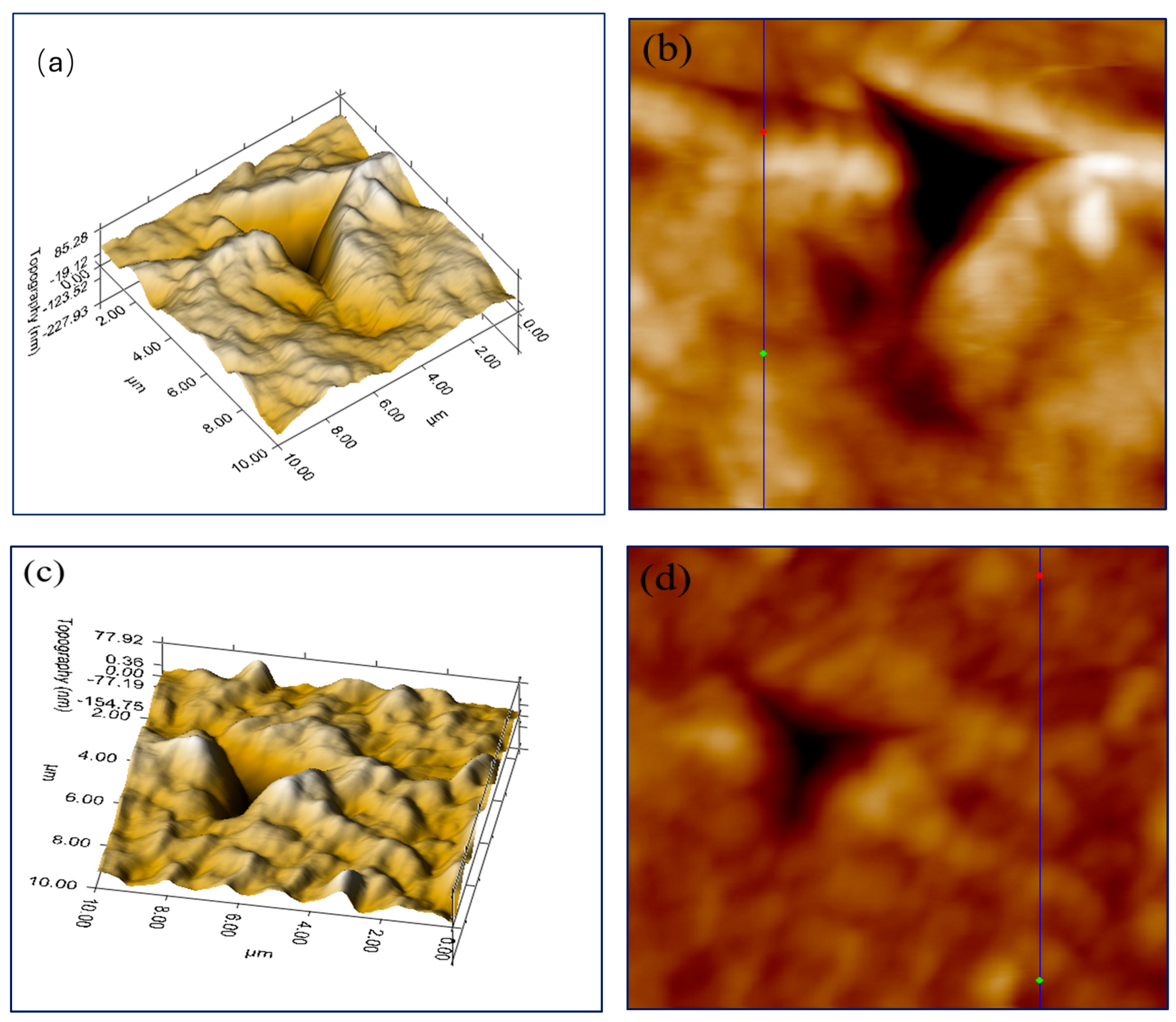 Applsci 14 09961 g003