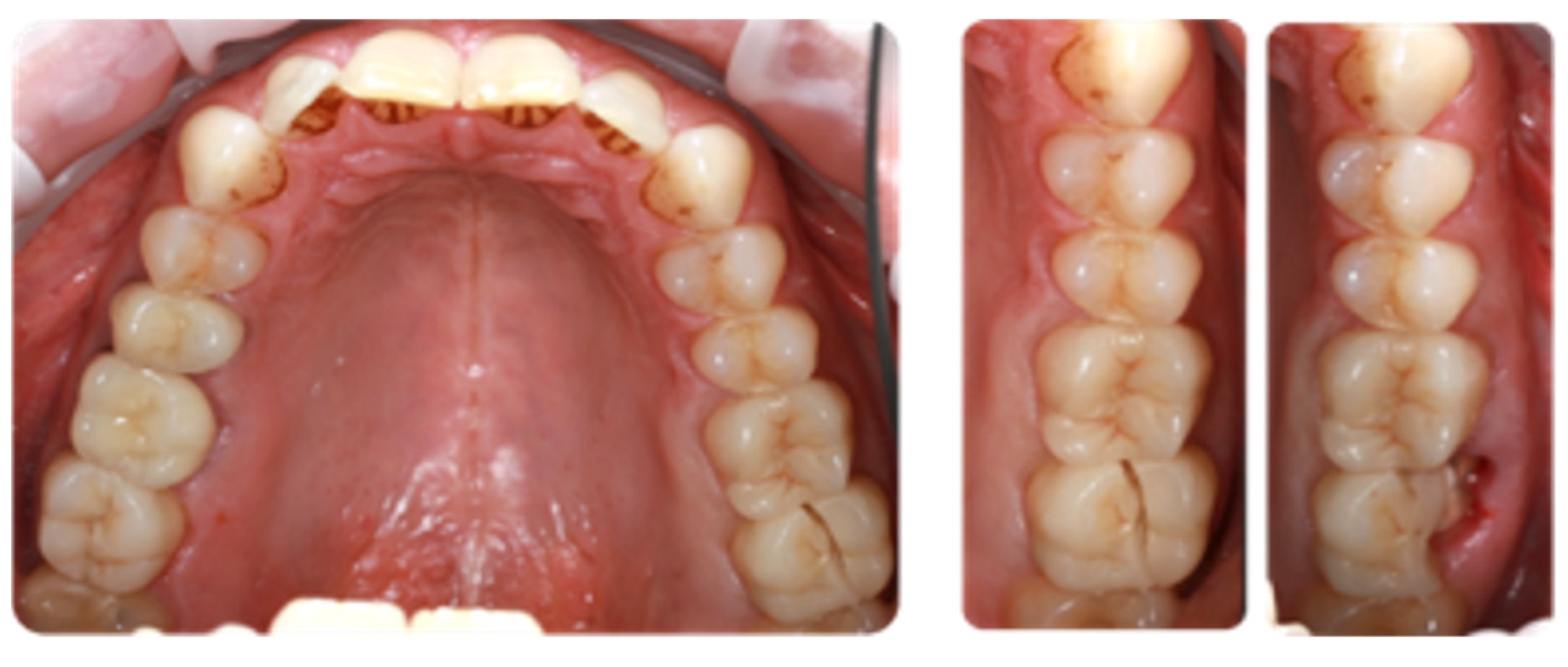 Applsci 14 09964 g002 Applsci 14 09964 g002