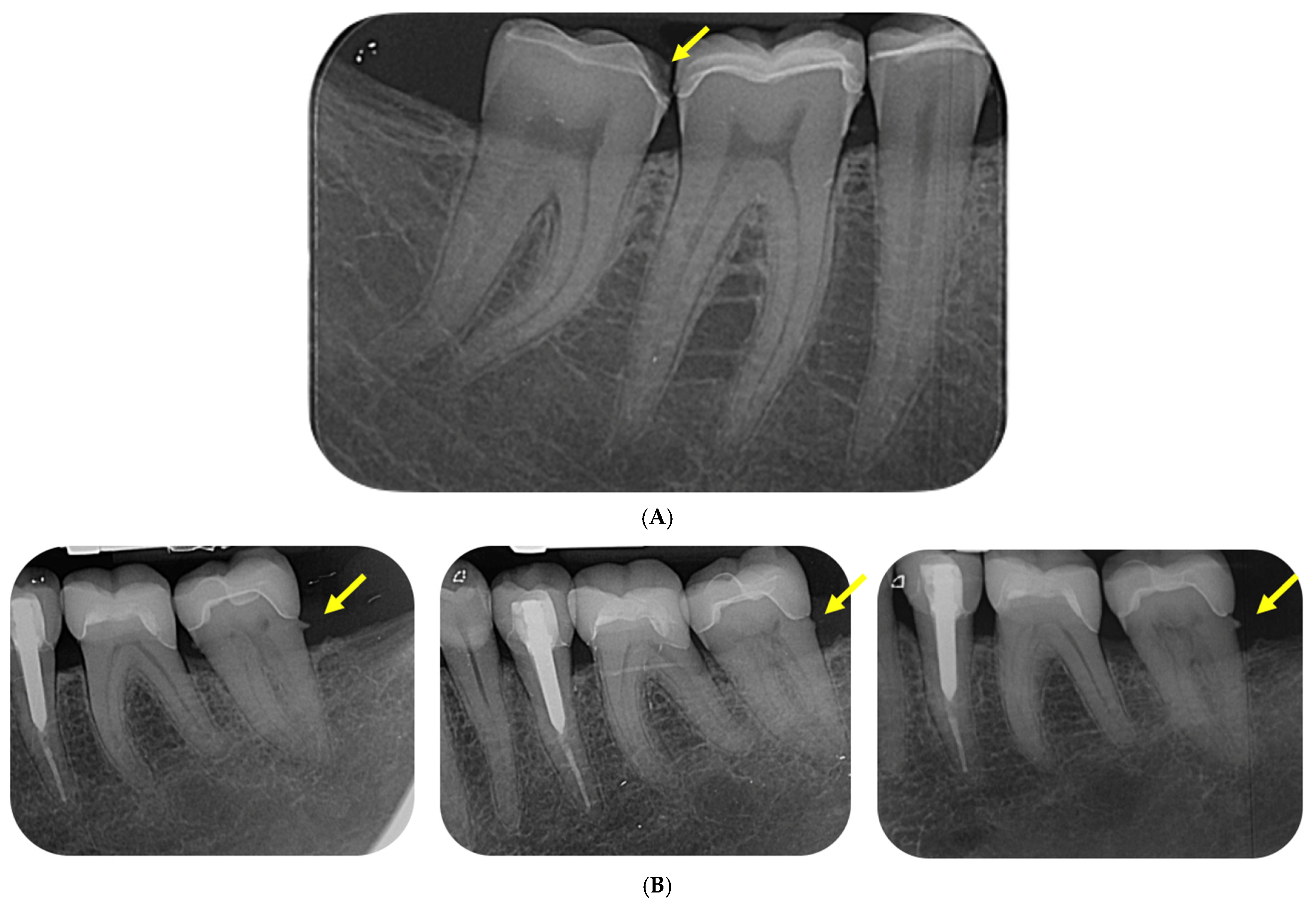Applsci 14 09964 g004 Applsci 14 09964 g004