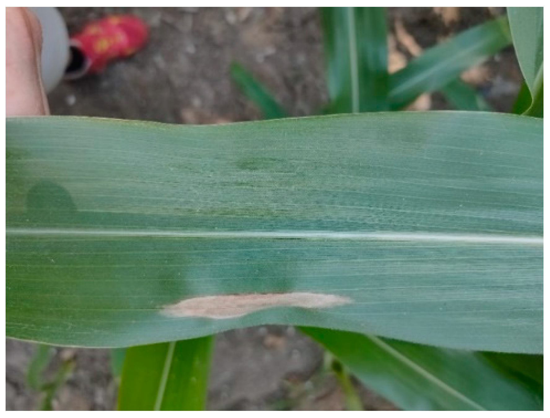 Applsci 14 10004 g001