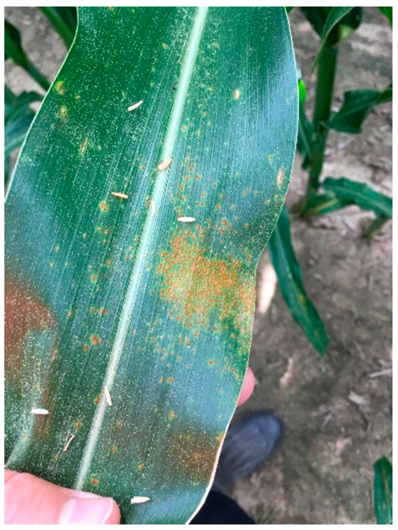 Applsci 14 10004 g003