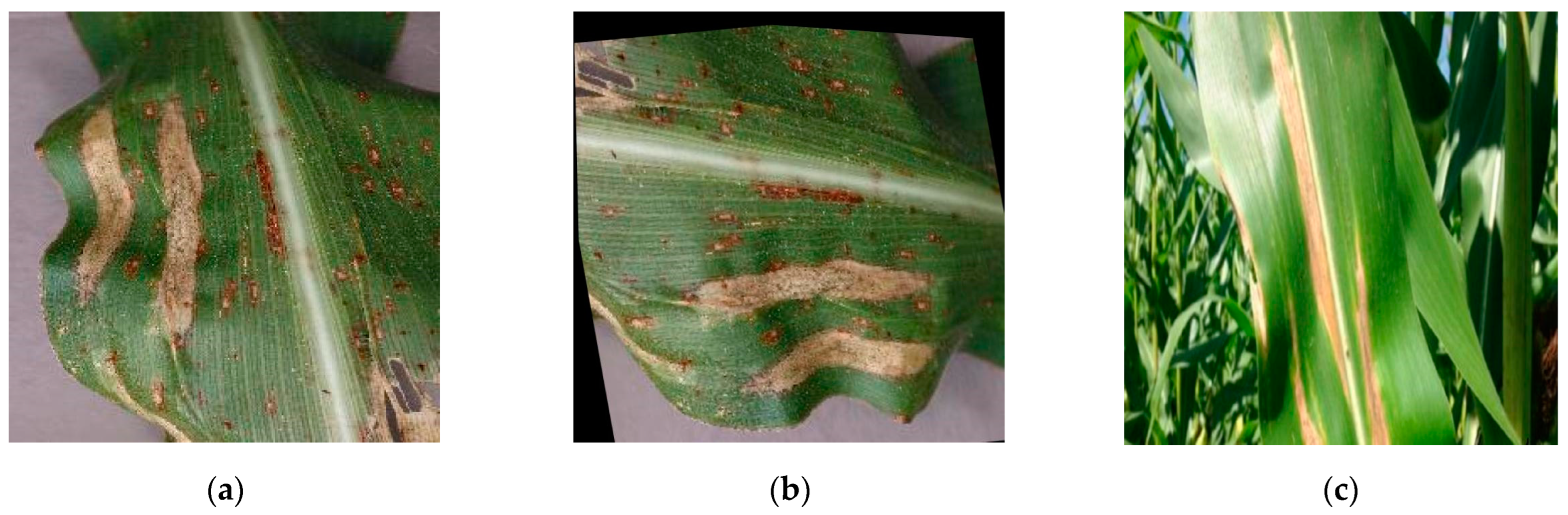 Applsci 14 10004 g004