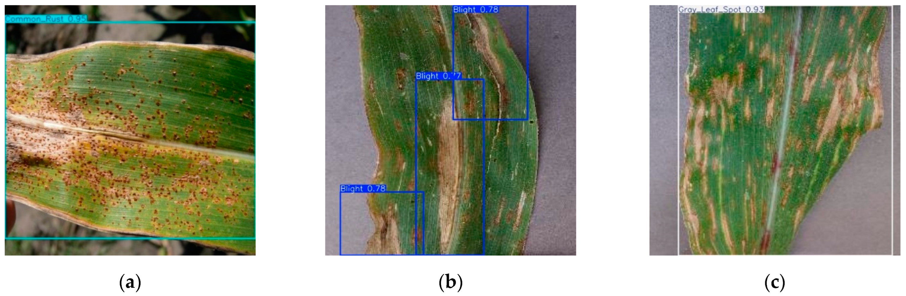 Applsci 14 10004 g019