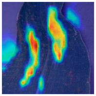 Applsci 14 10004 i004