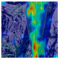 Applsci 14 10004 i006