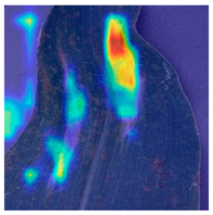 Applsci 14 10004 i007