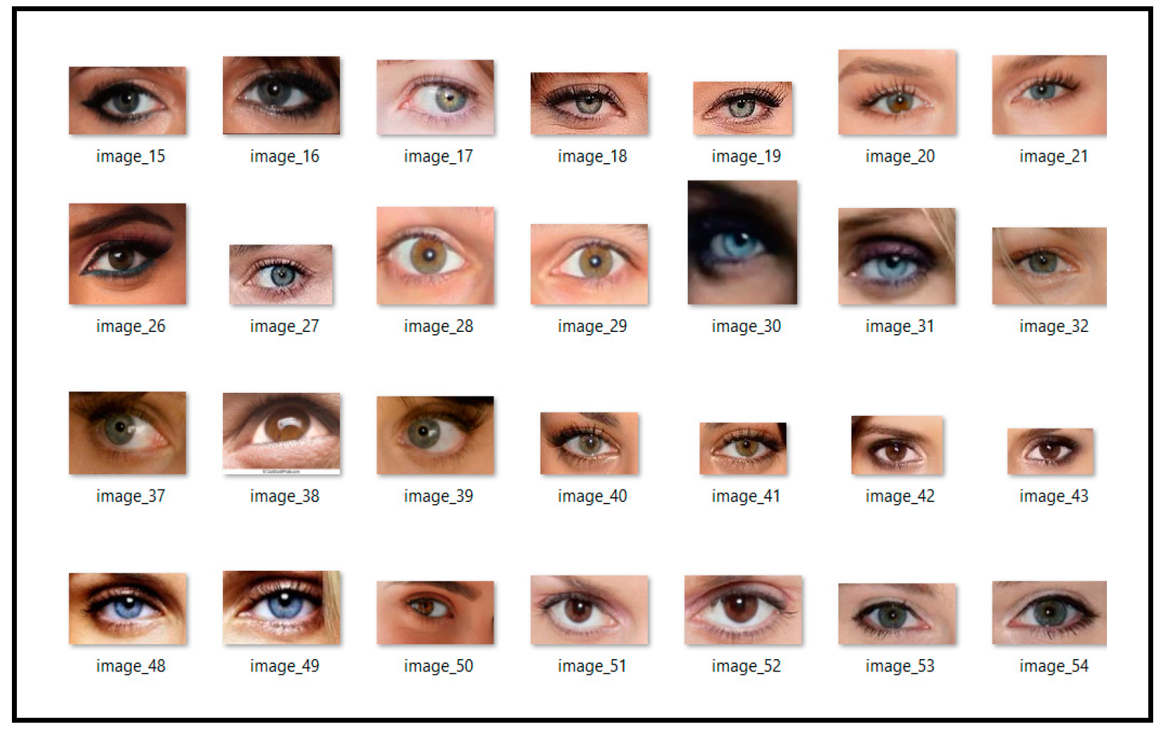 Applsci 14 10041 g001