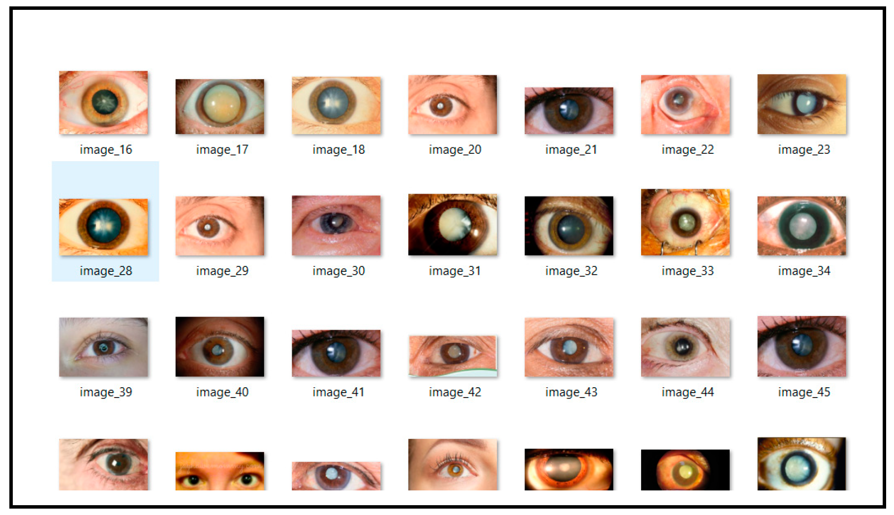 Applsci 14 10041 g002