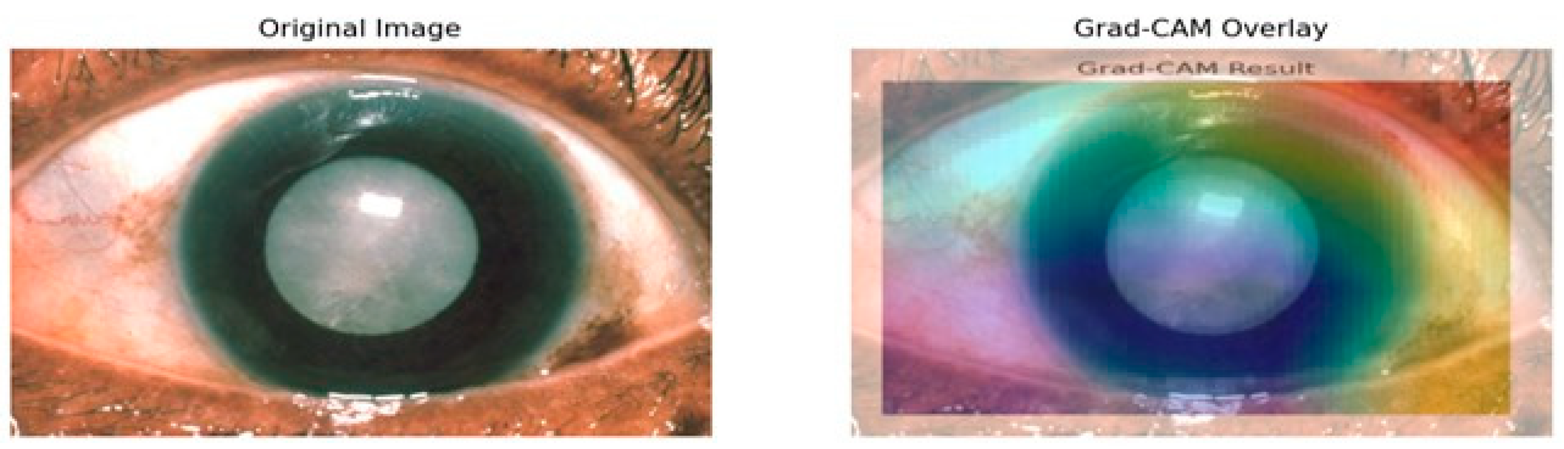 Applsci 14 10041 g011