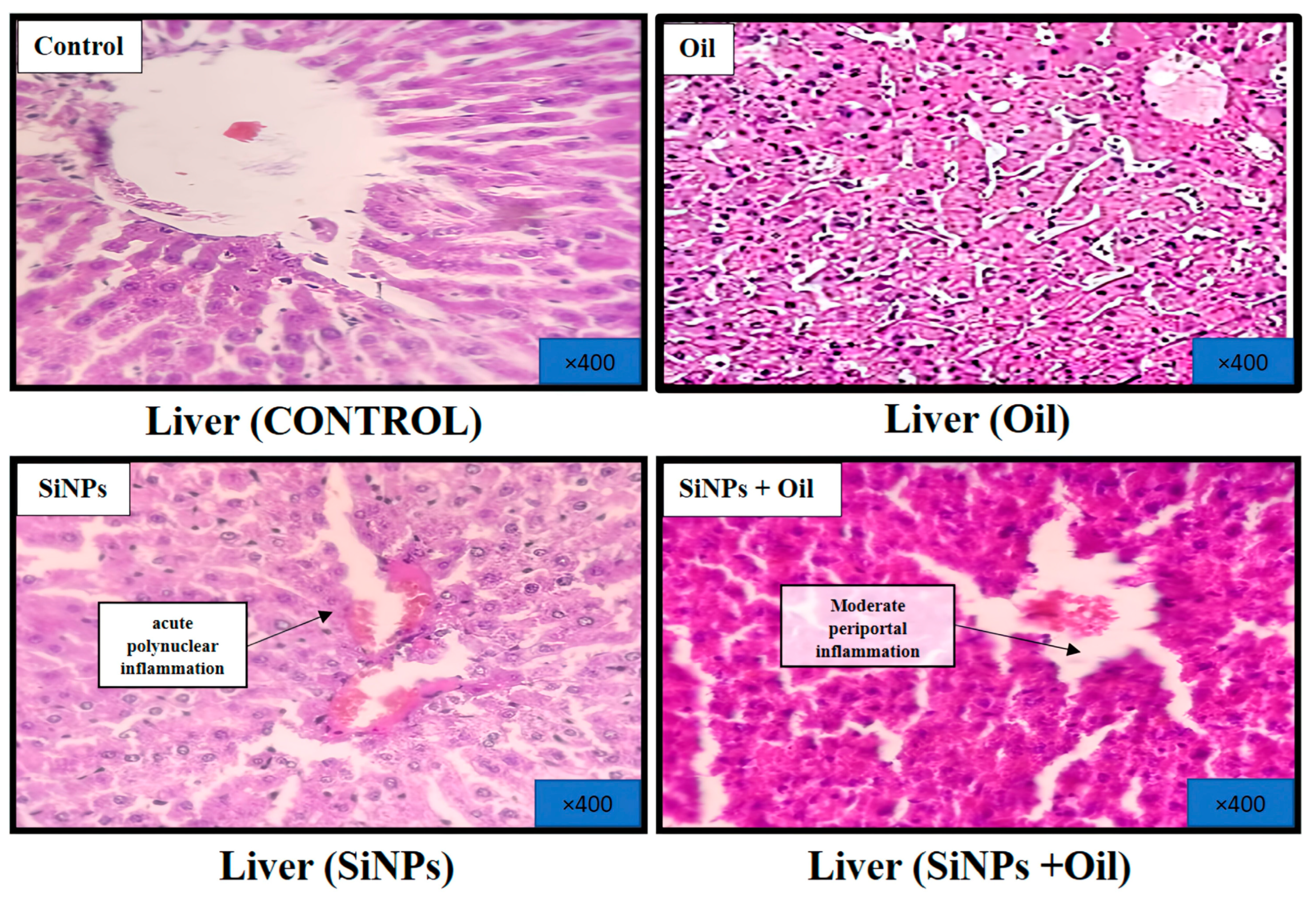 Applsci 14 10046 g008