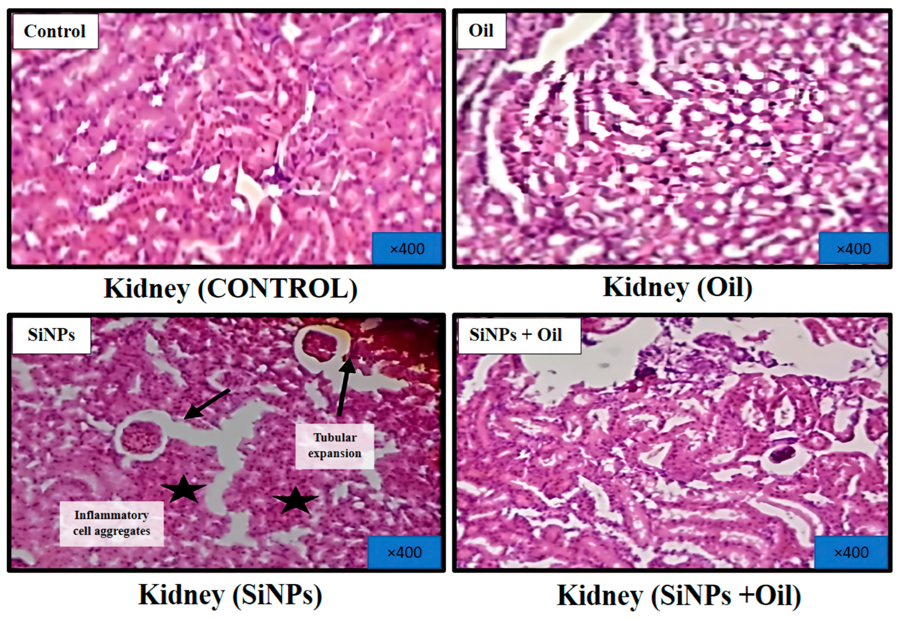 Applsci 14 10046 g010