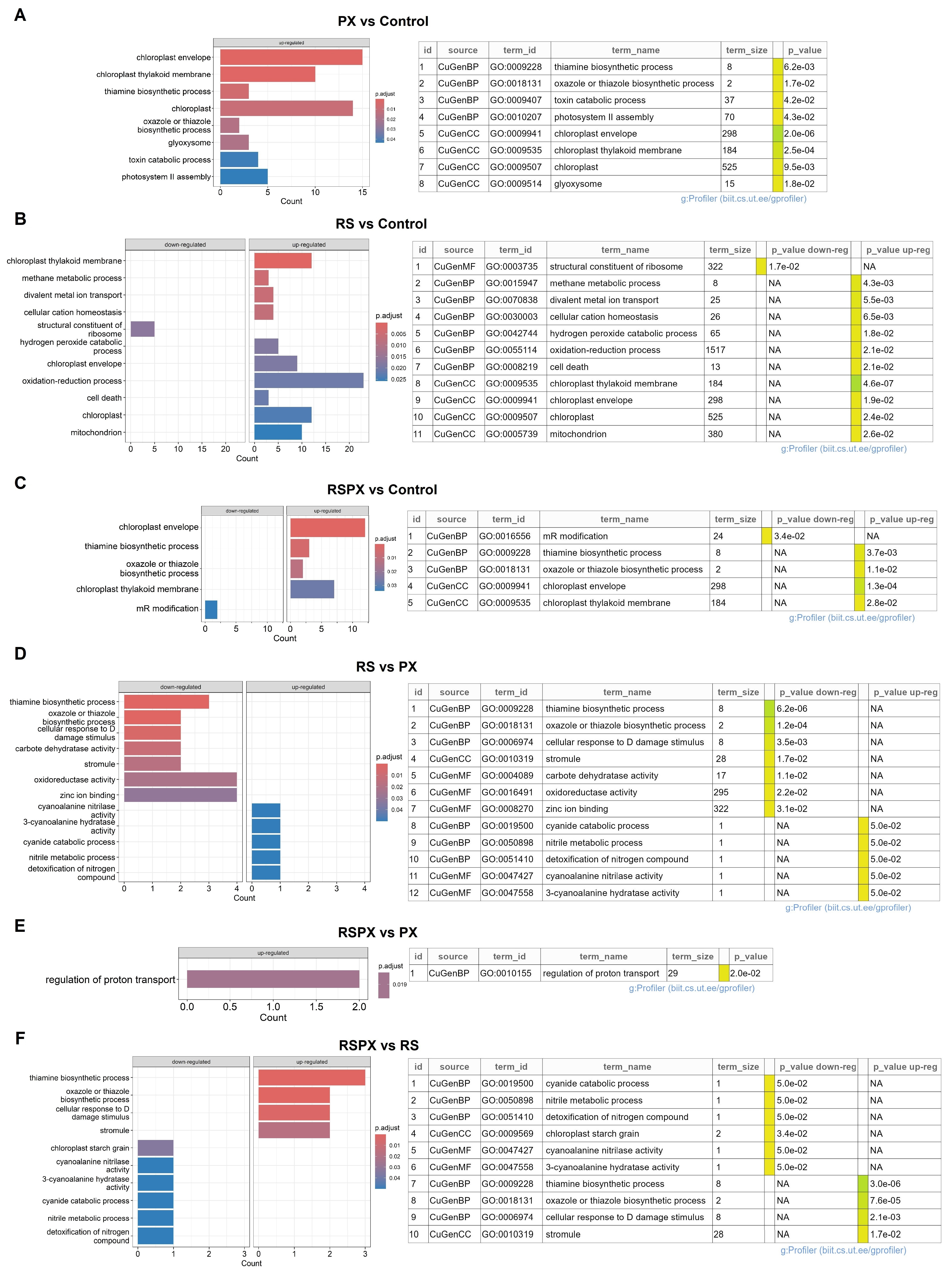 Applsci 14 10061 g004