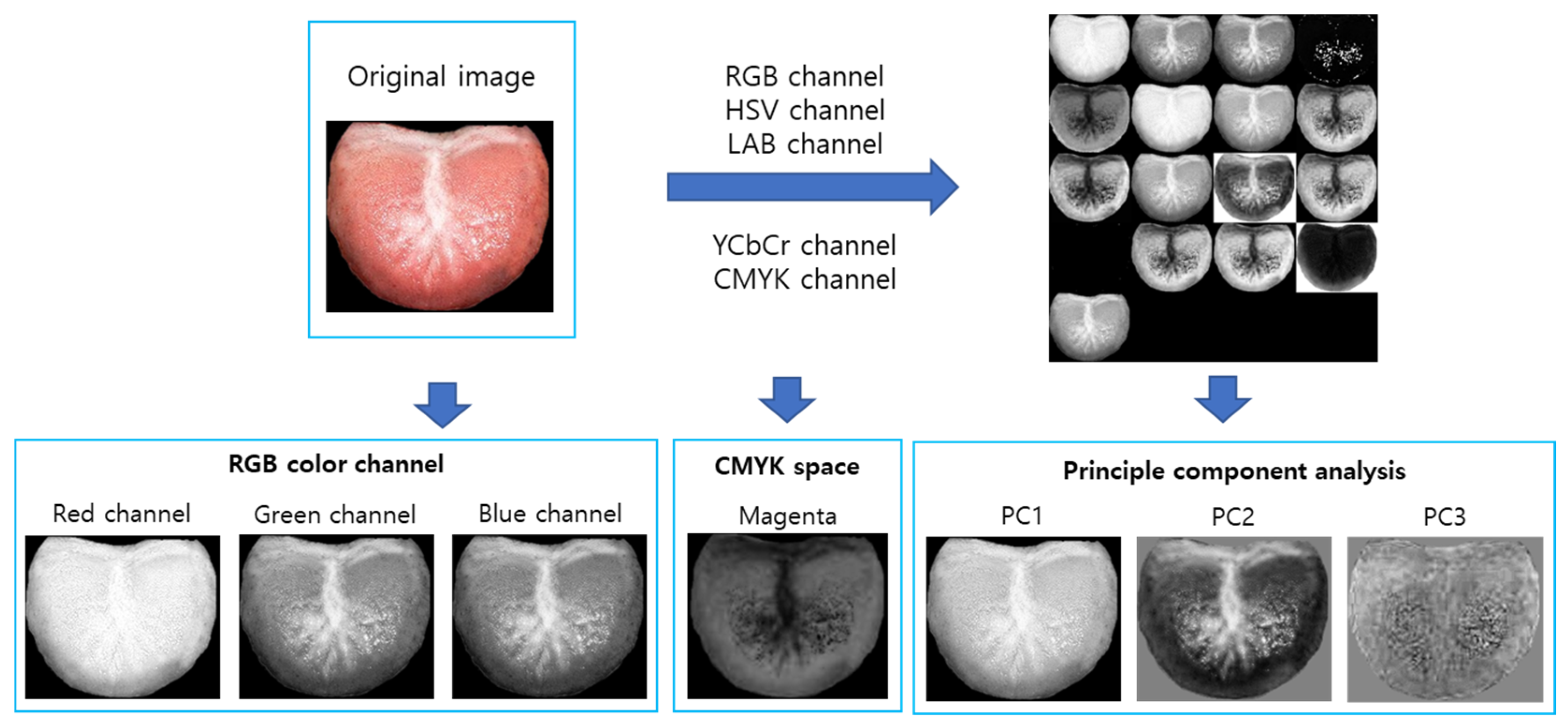 Applsci 14 10118 g002