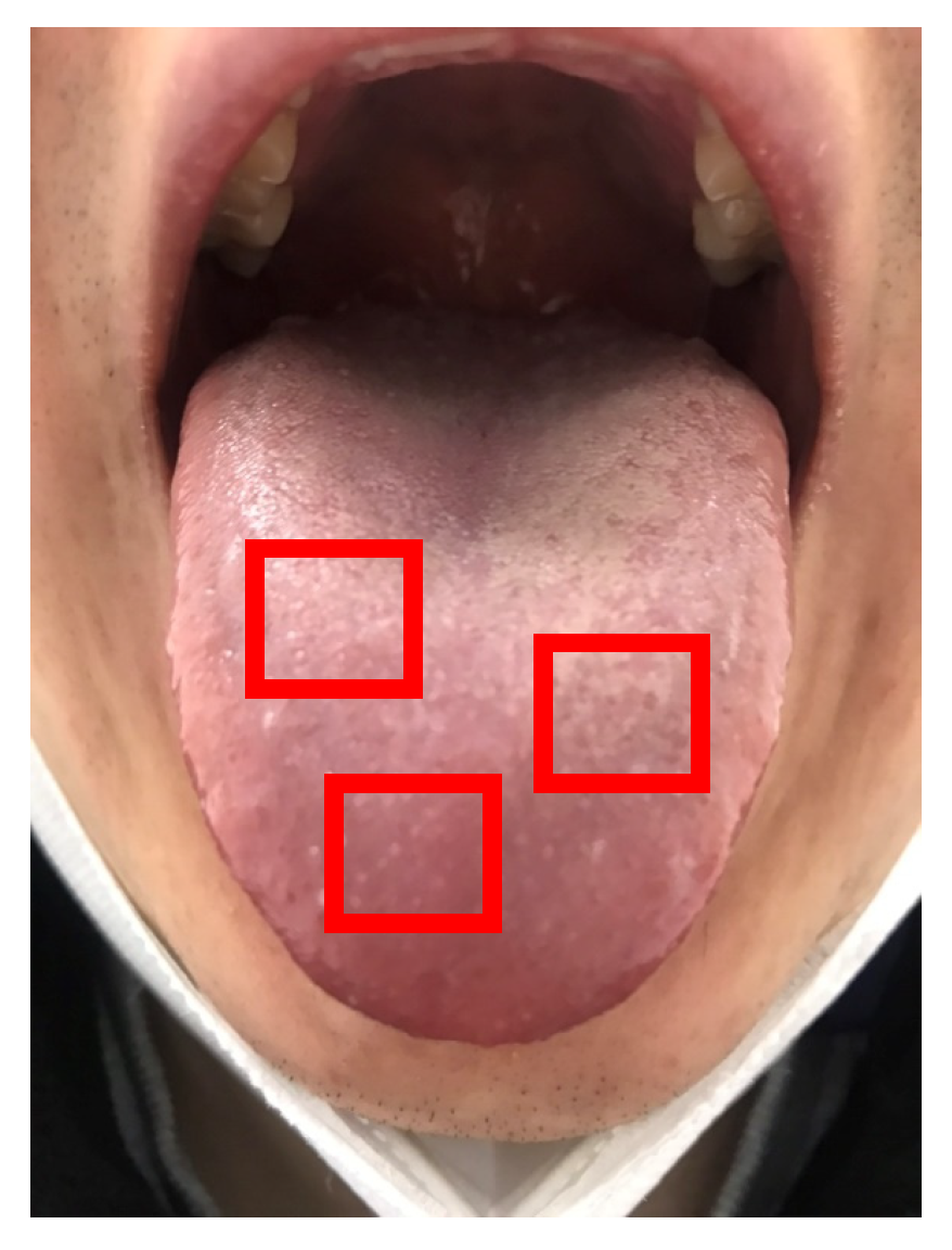 Applsci 14 10118 g003