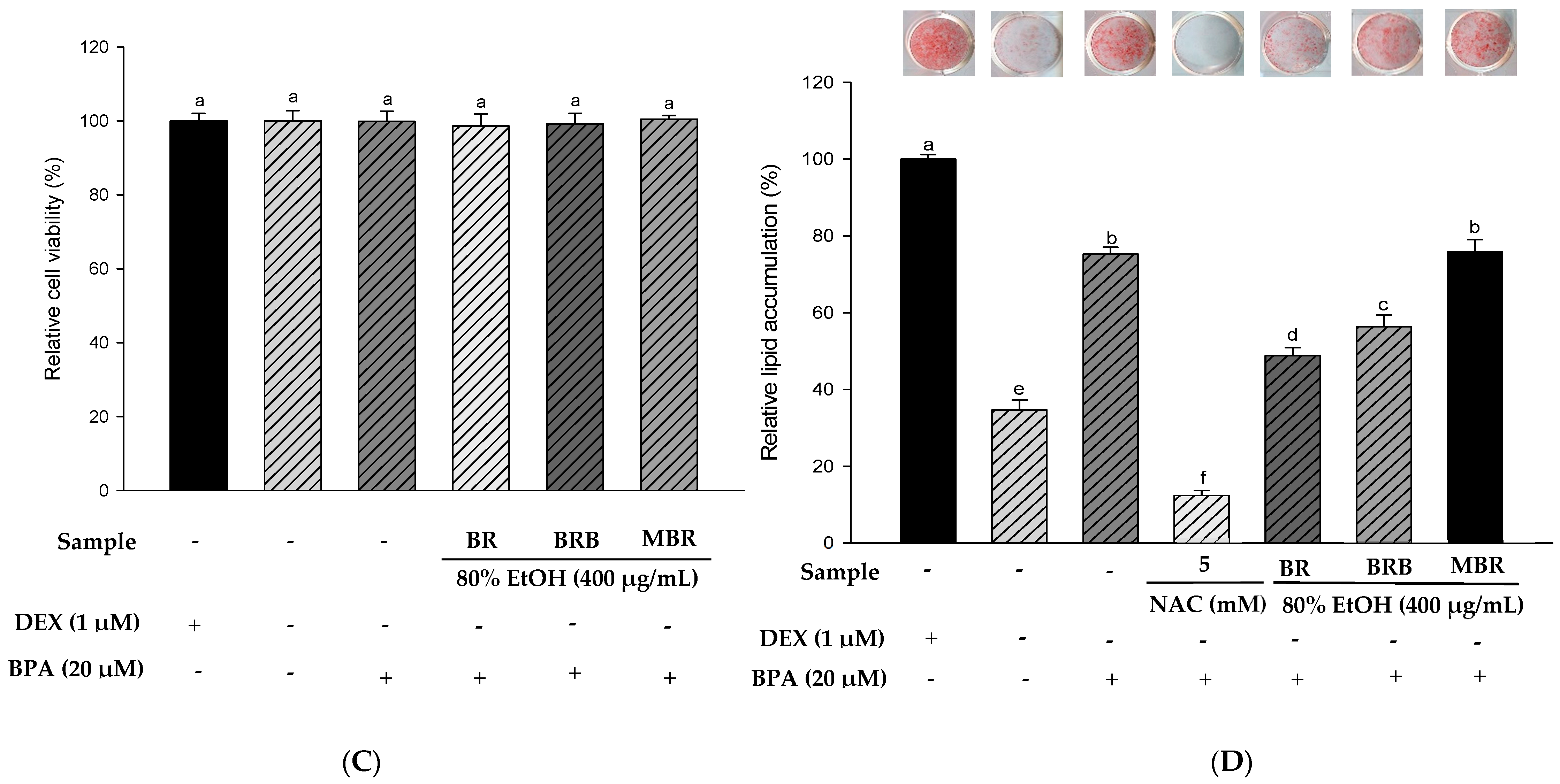 Applsci 14 10200 g004b