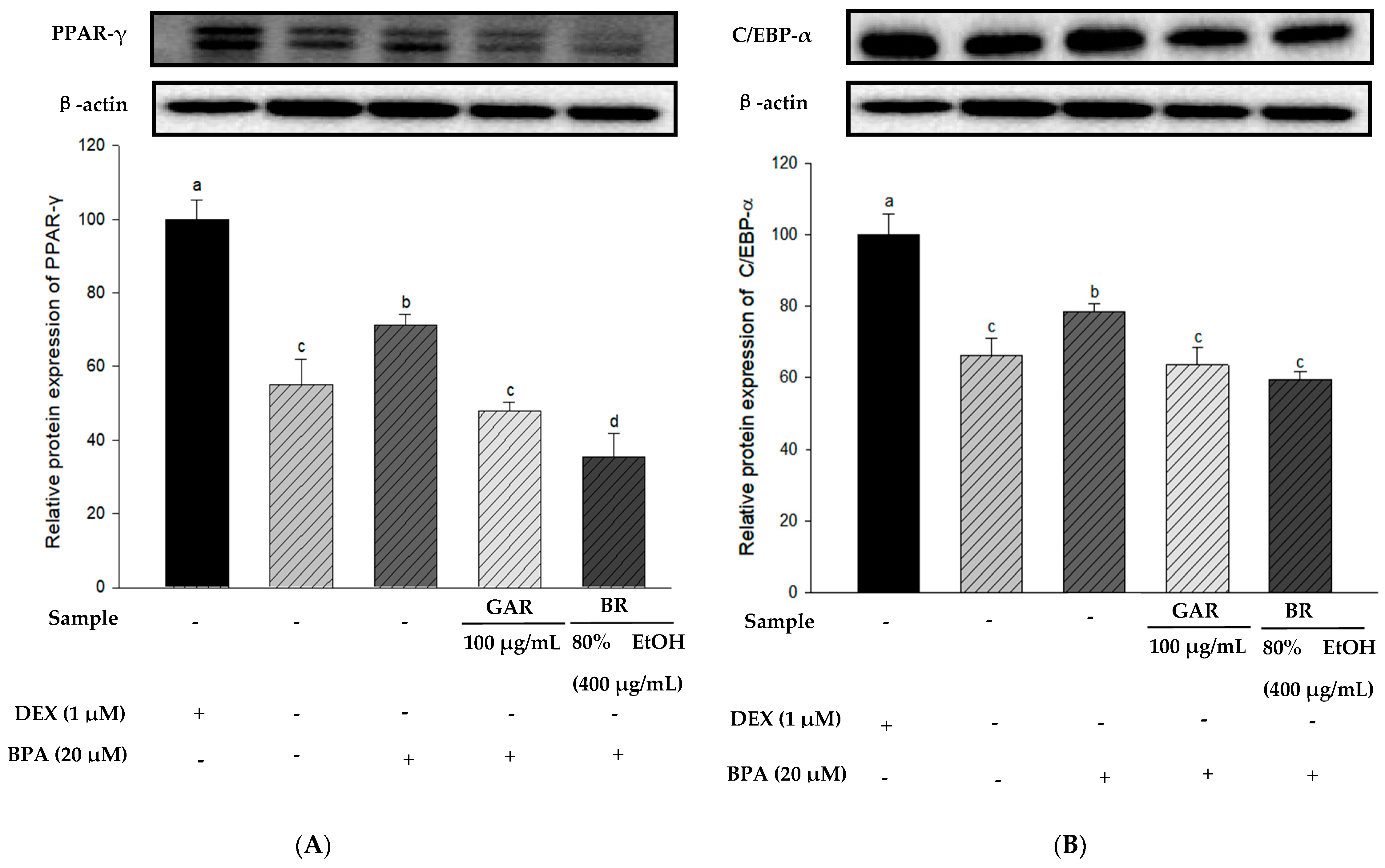 Applsci 14 10200 g005a