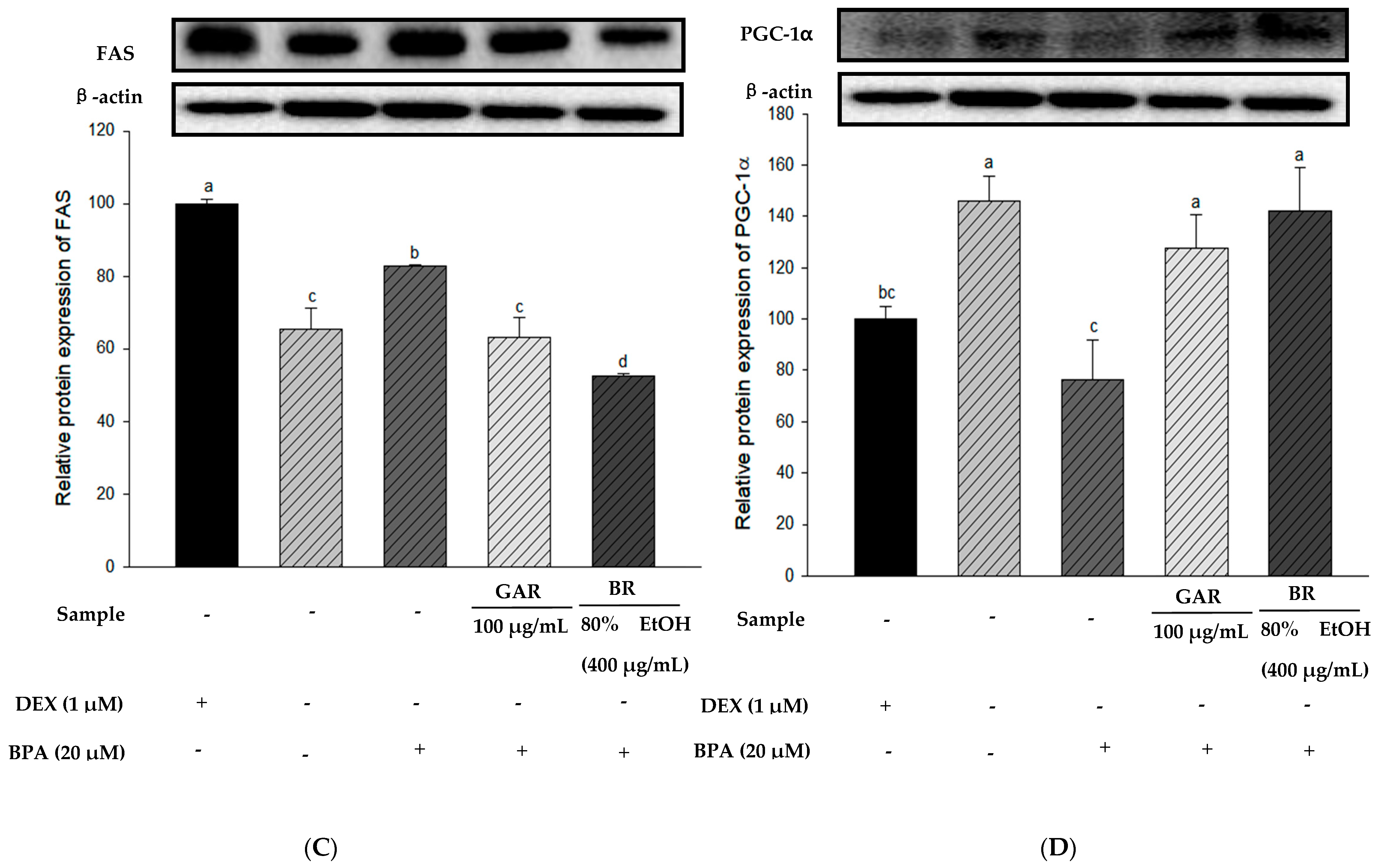 Applsci 14 10200 g005b
