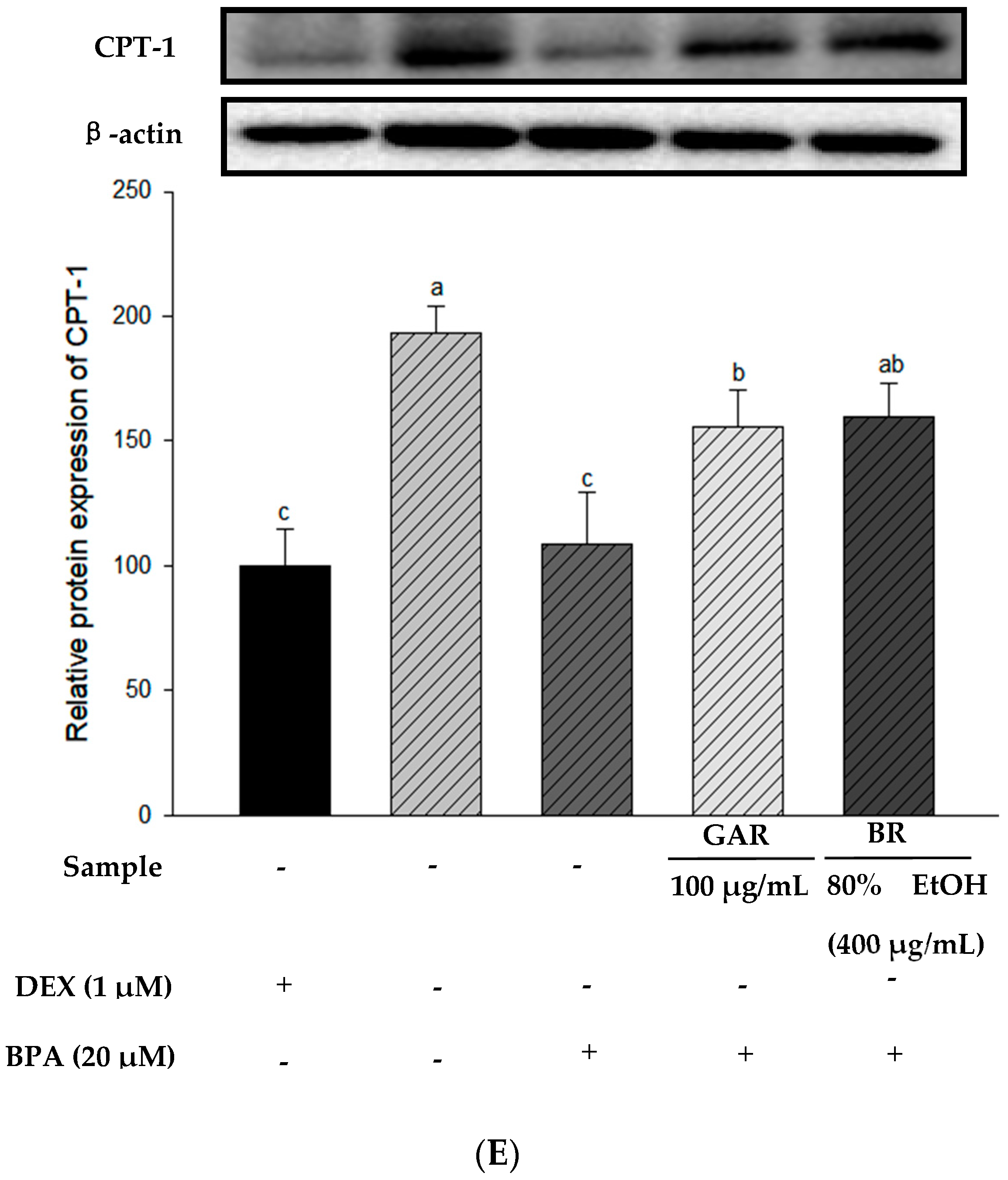 Applsci 14 10200 g005c