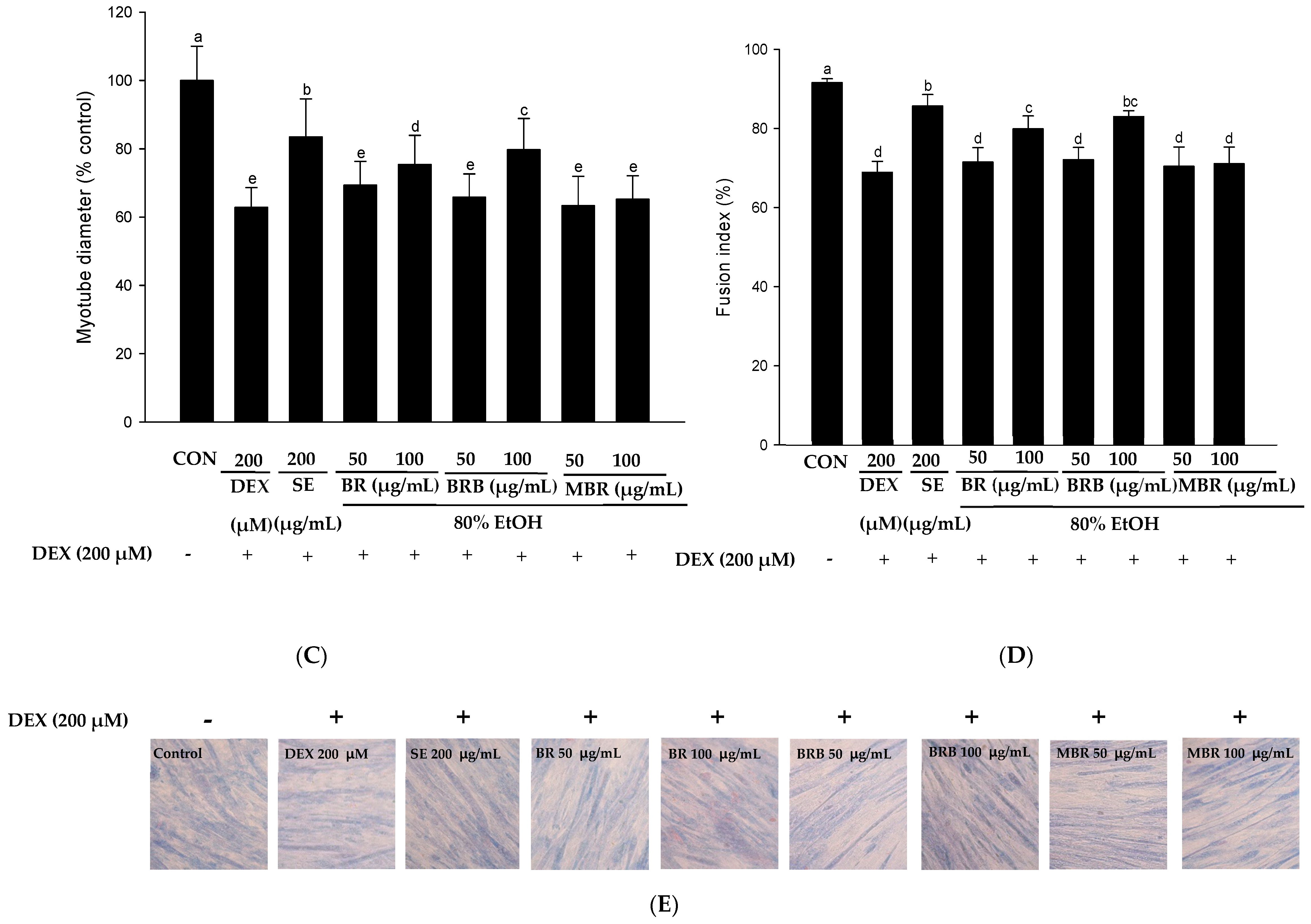 Applsci 14 10200 g006b