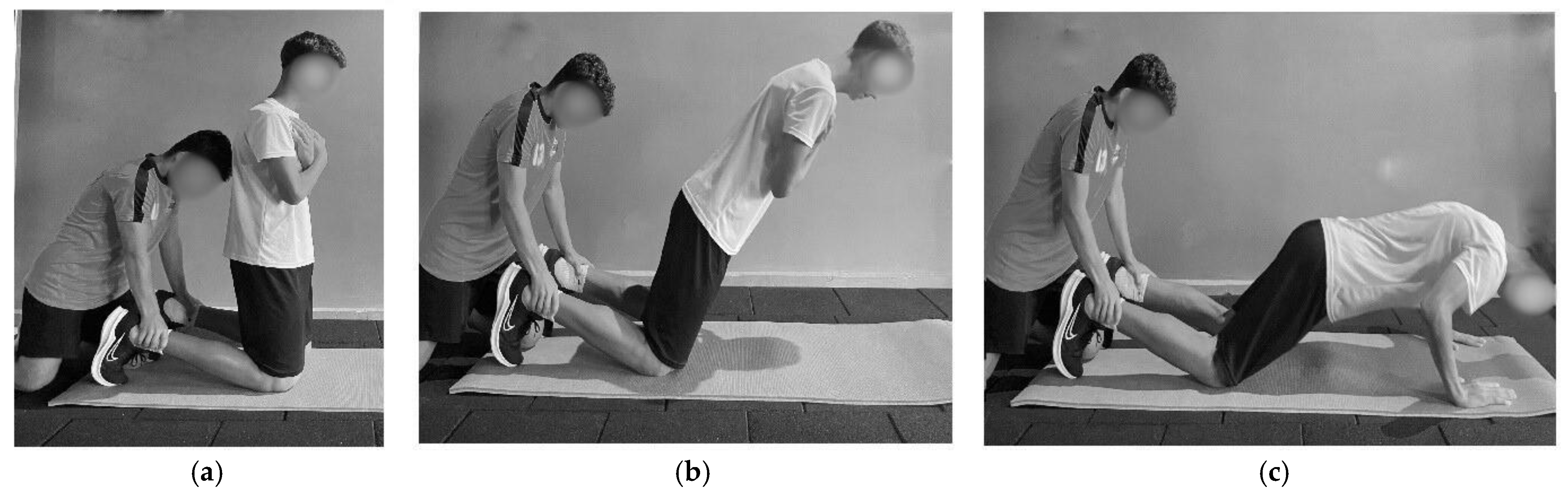 Applsci 14 10249 g001