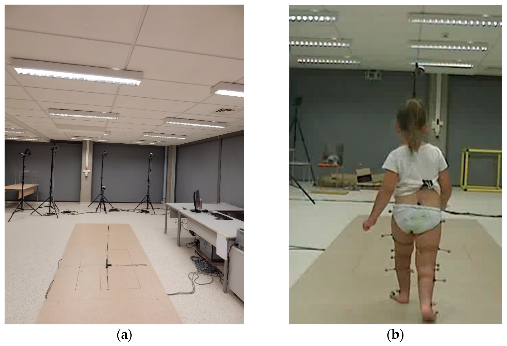 Applsci 14 10312 g001 Applsci 14 10312 g001