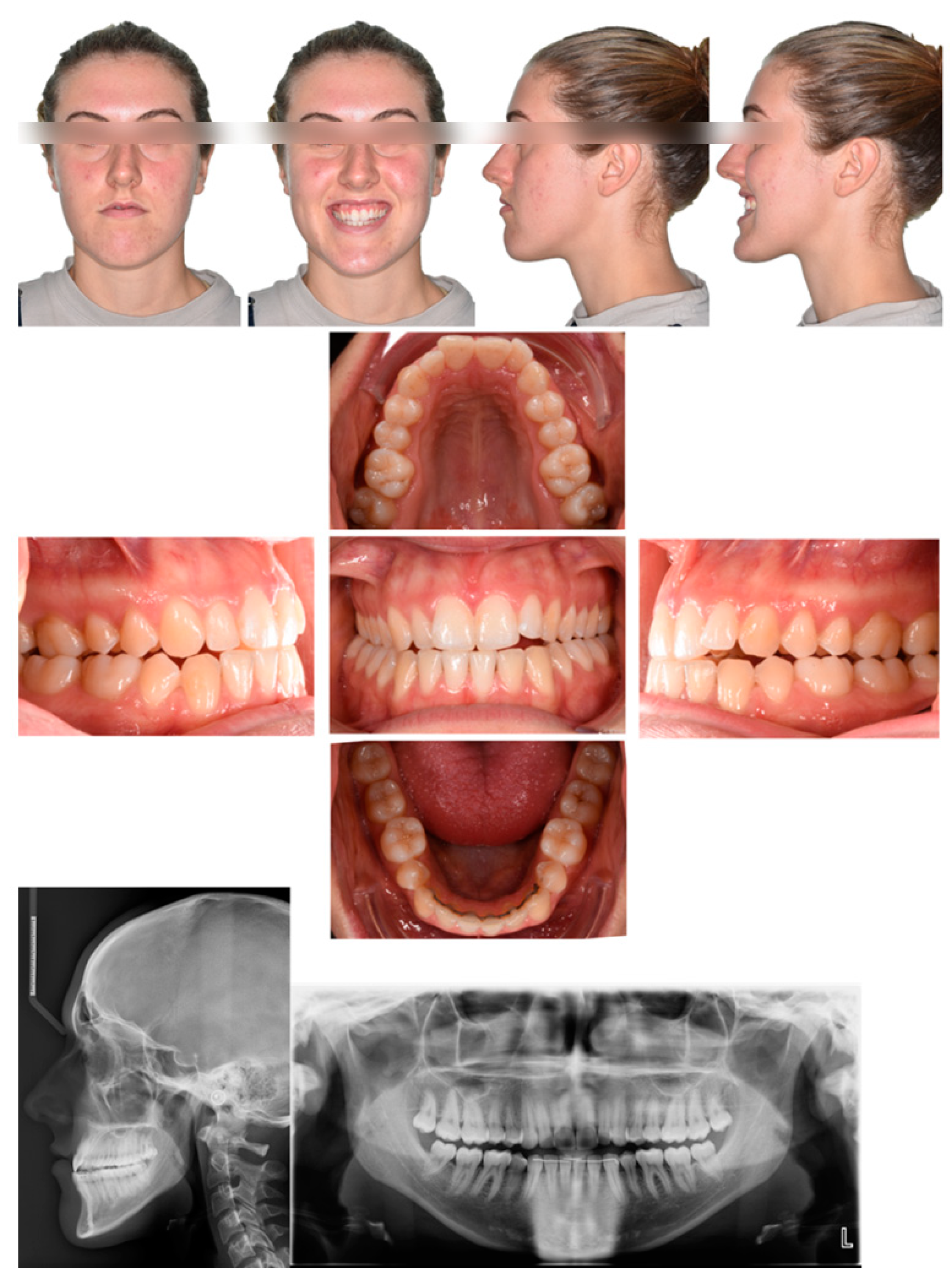 Applsci 14 10374 g001