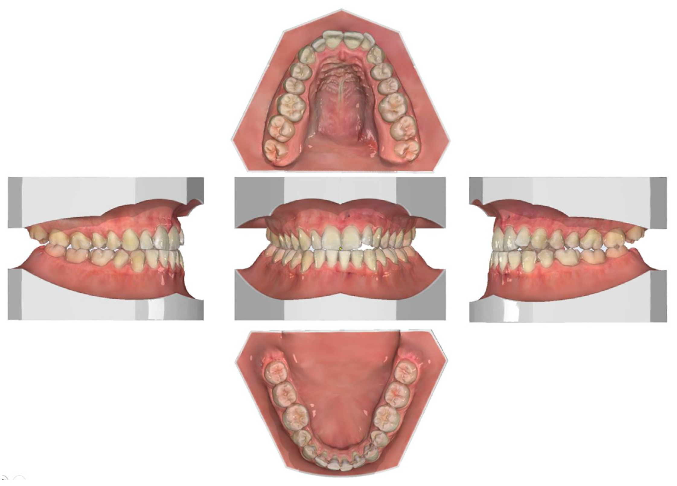 Applsci 14 10374 g002