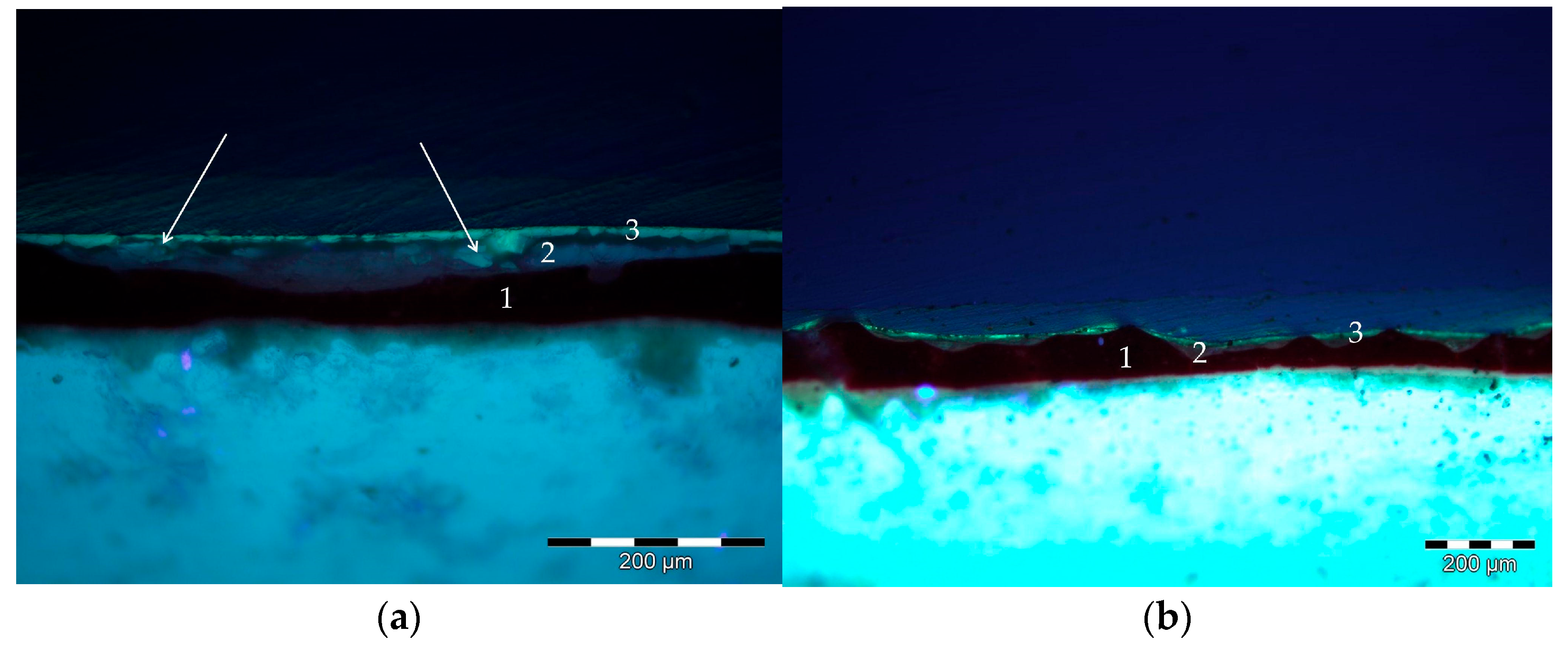 Applsci 14 10385 g007 Applsci 14 10385 g007