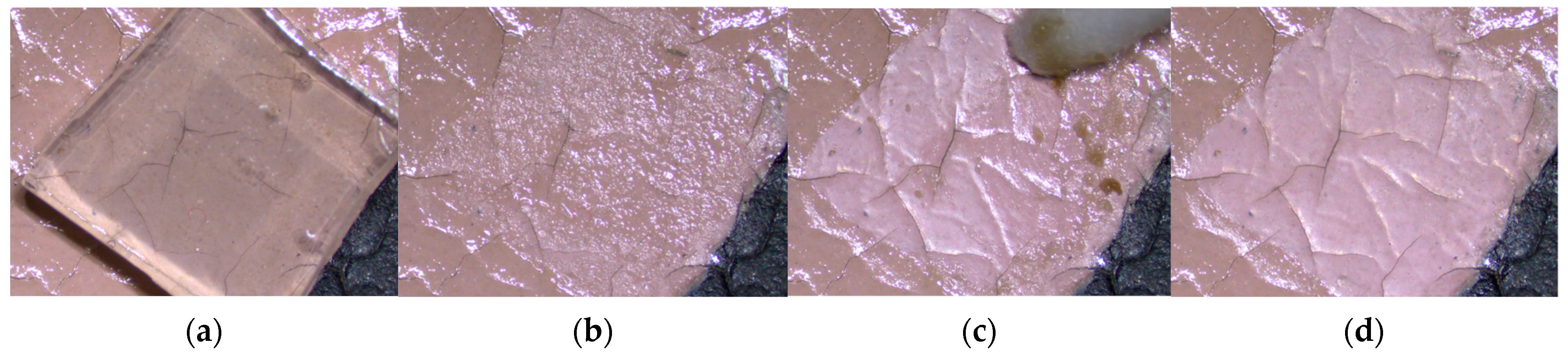 Applsci 14 10385 g009 Applsci 14 10385 g009