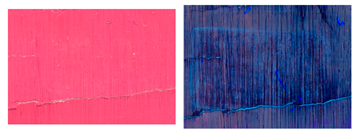 Applsci 14 10385 i003