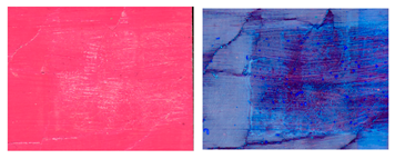 Applsci 14 10385 i013