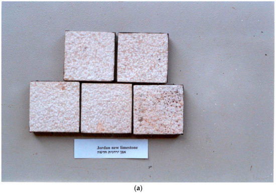 Applsci 14 10415 g0a1a