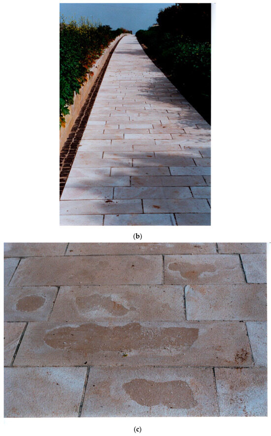 Applsci 14 10415 g0a1b