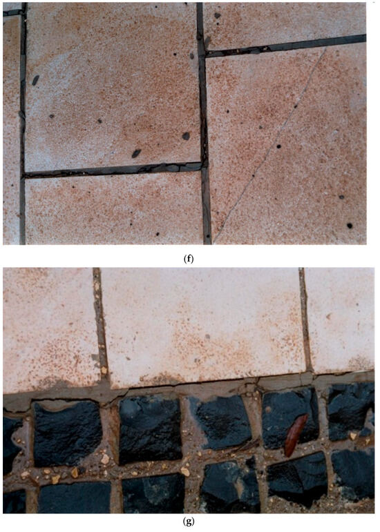 Applsci 14 10415 g0a1d