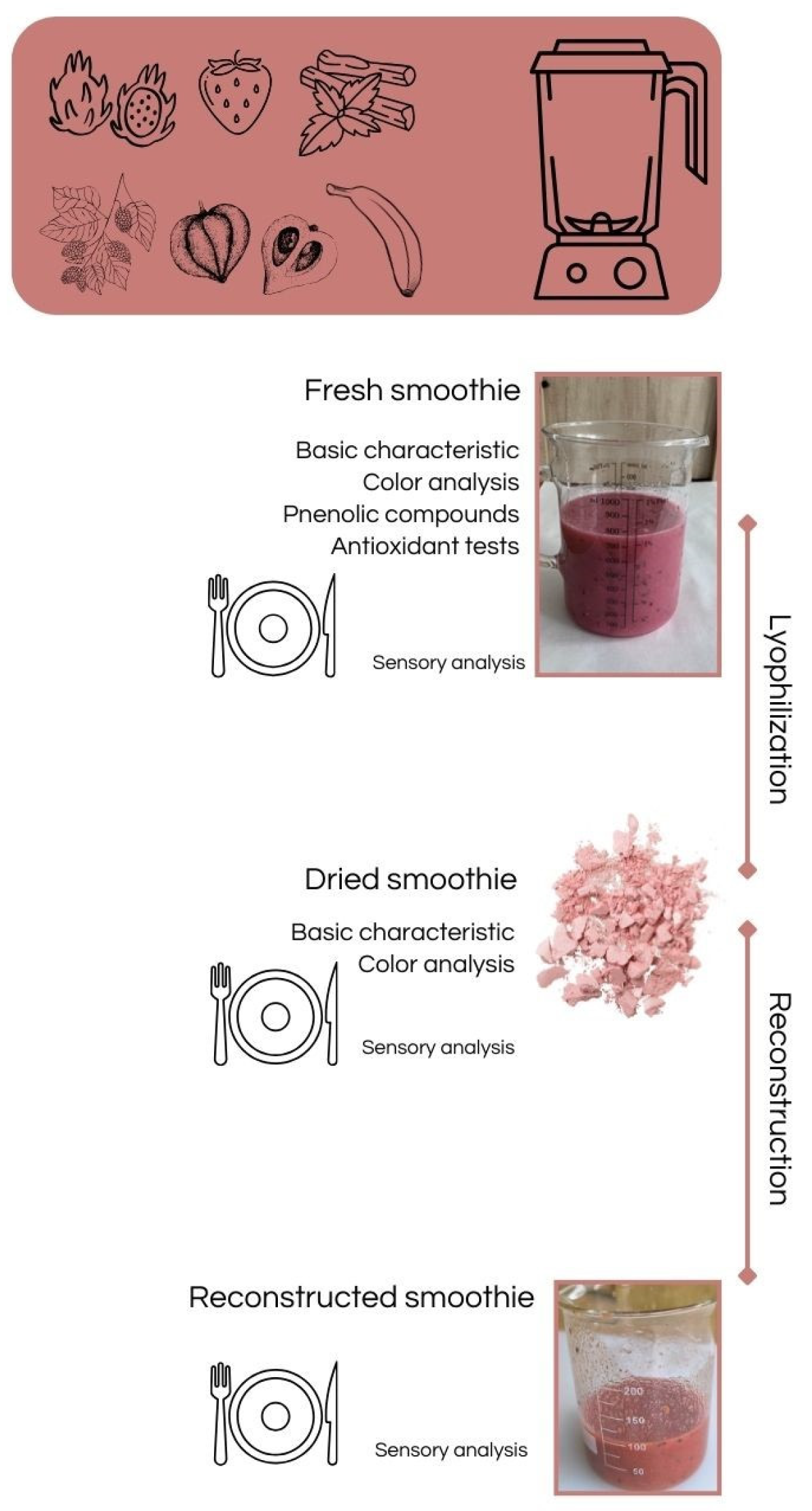 Applsci 14 10432 g001