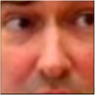 Applsci 14 10458 i001