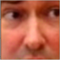 Applsci 14 10458 i005