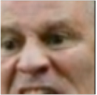 Applsci 14 10458 i006