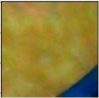 Applsci 14 10458 i012