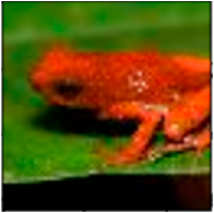 Applsci 14 10458 i014