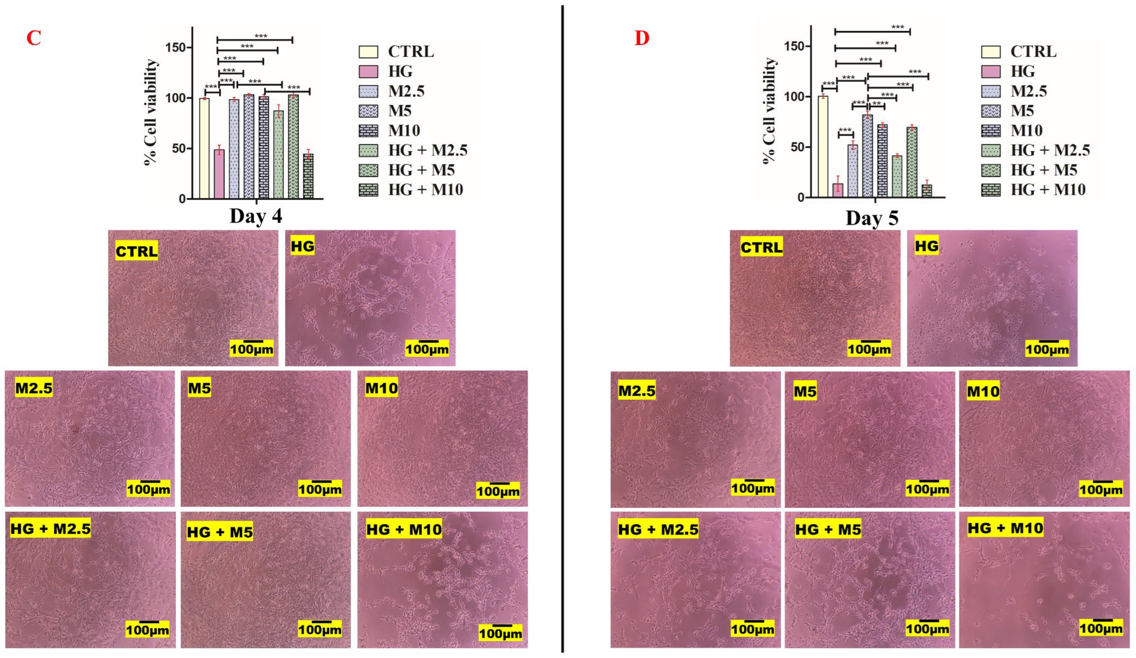 Applsci 14 10469 g006b