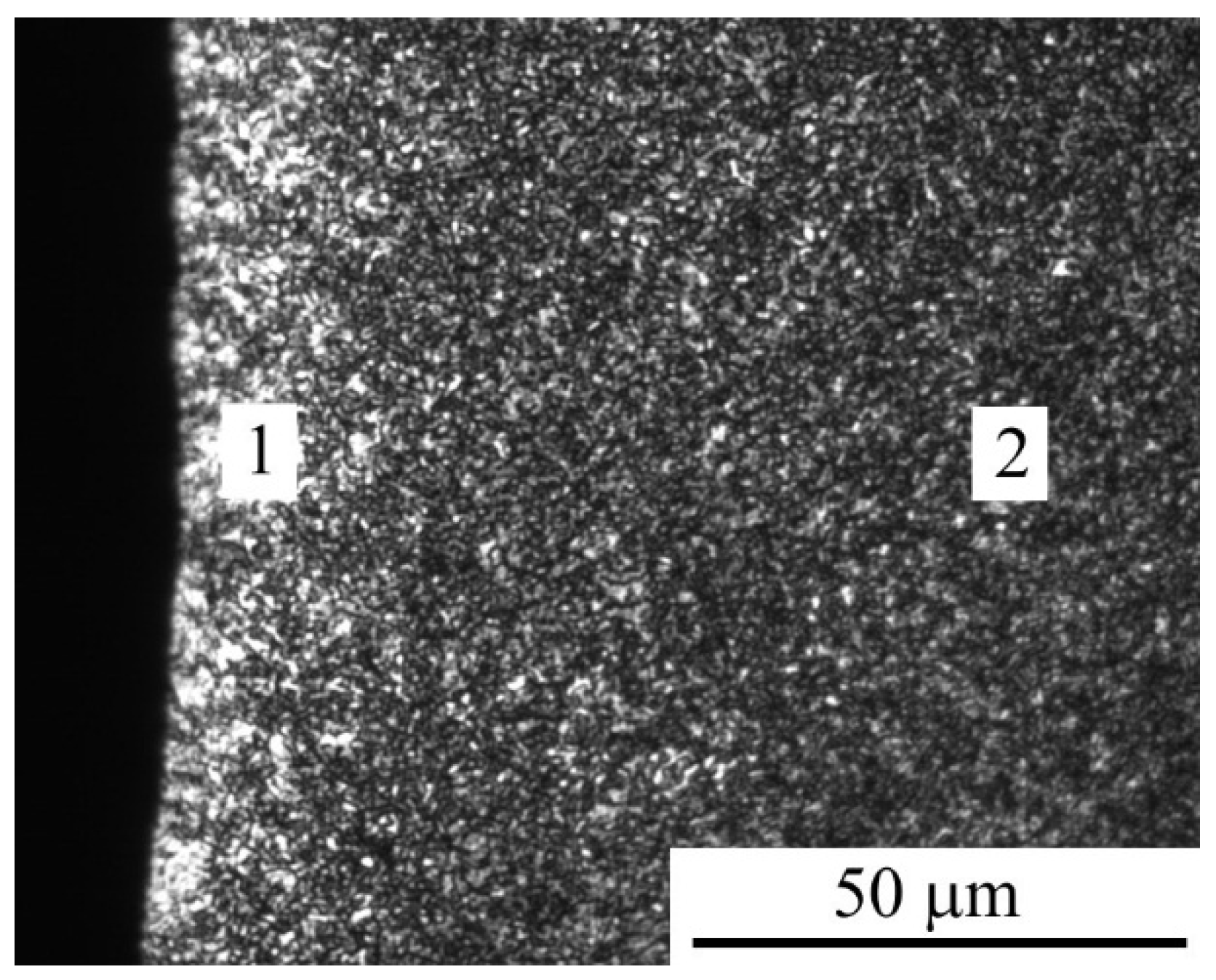 Applsci 14 10488 g007 Applsci 14 10488 g007