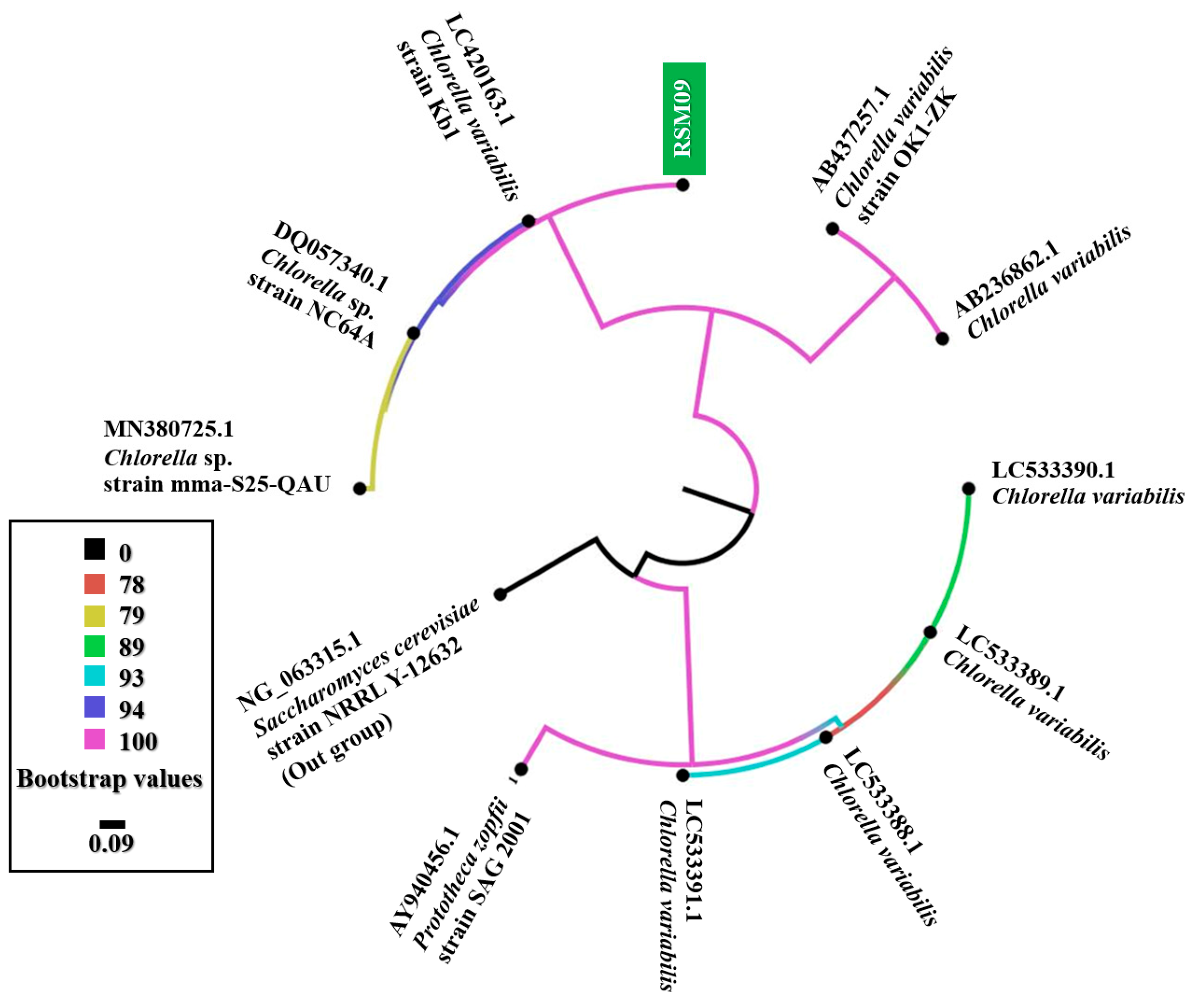 Applsci 14 10512 g002