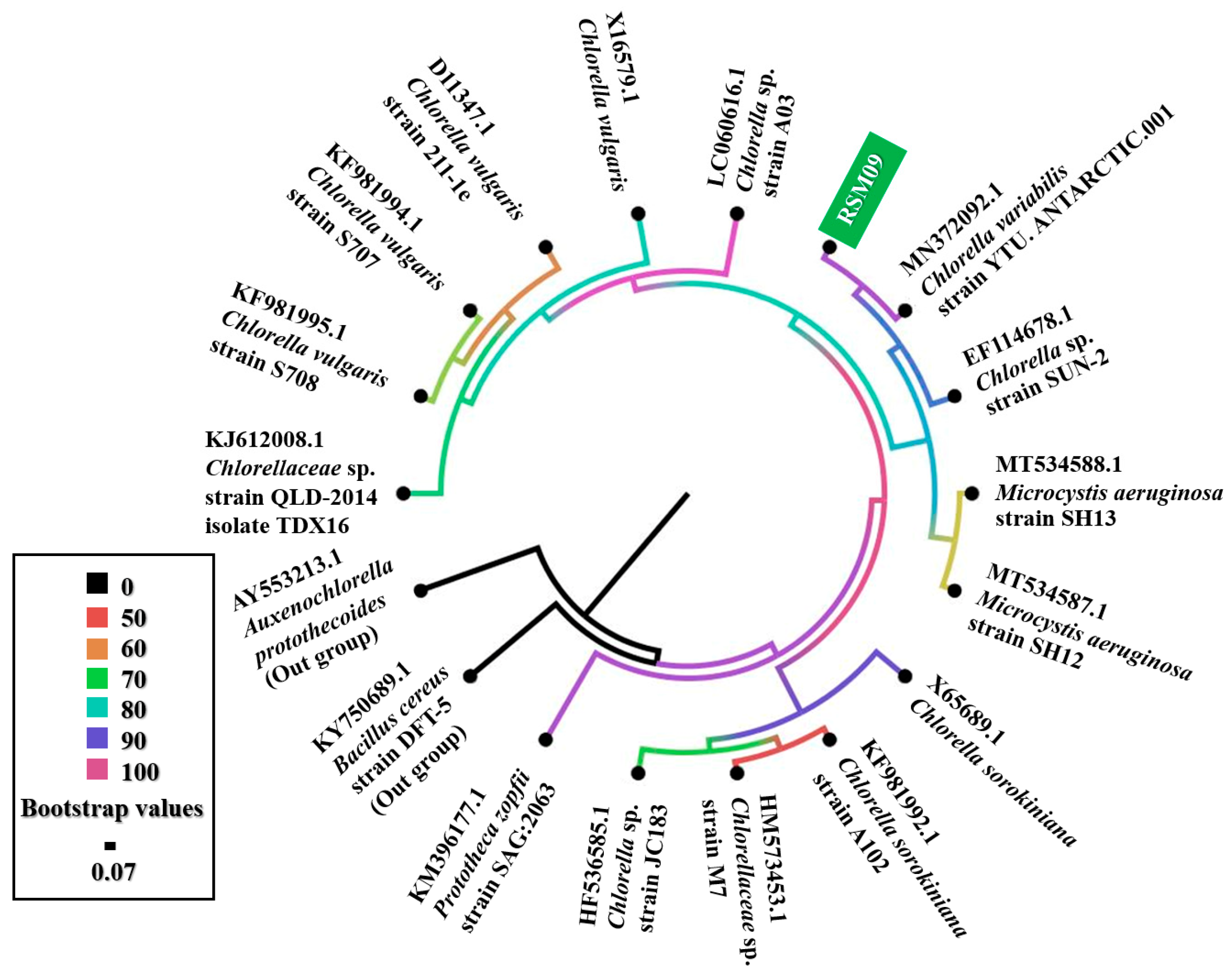 Applsci 14 10512 g003