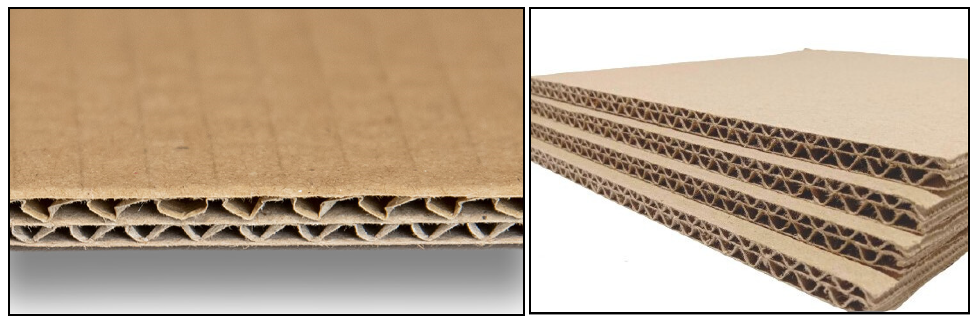 Applsci 14 10544 g001