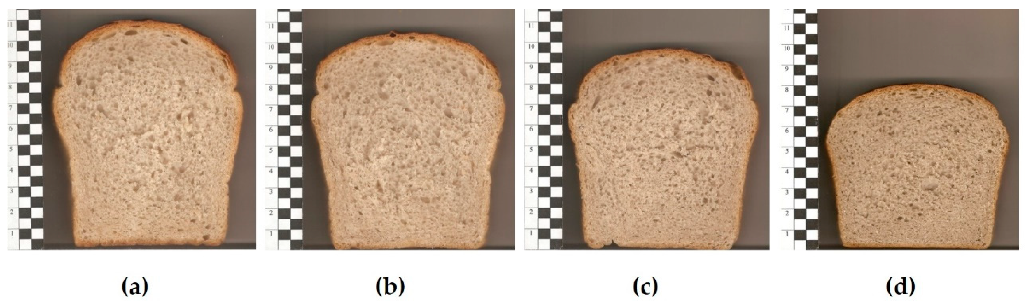 Applsci 14 10570 g001